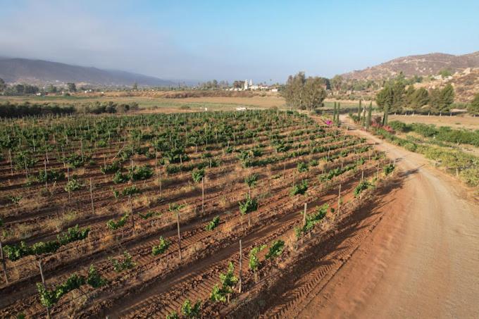 Casa Luna Vinedo Valle de Guadalupe Zewnętrze zdjęcie