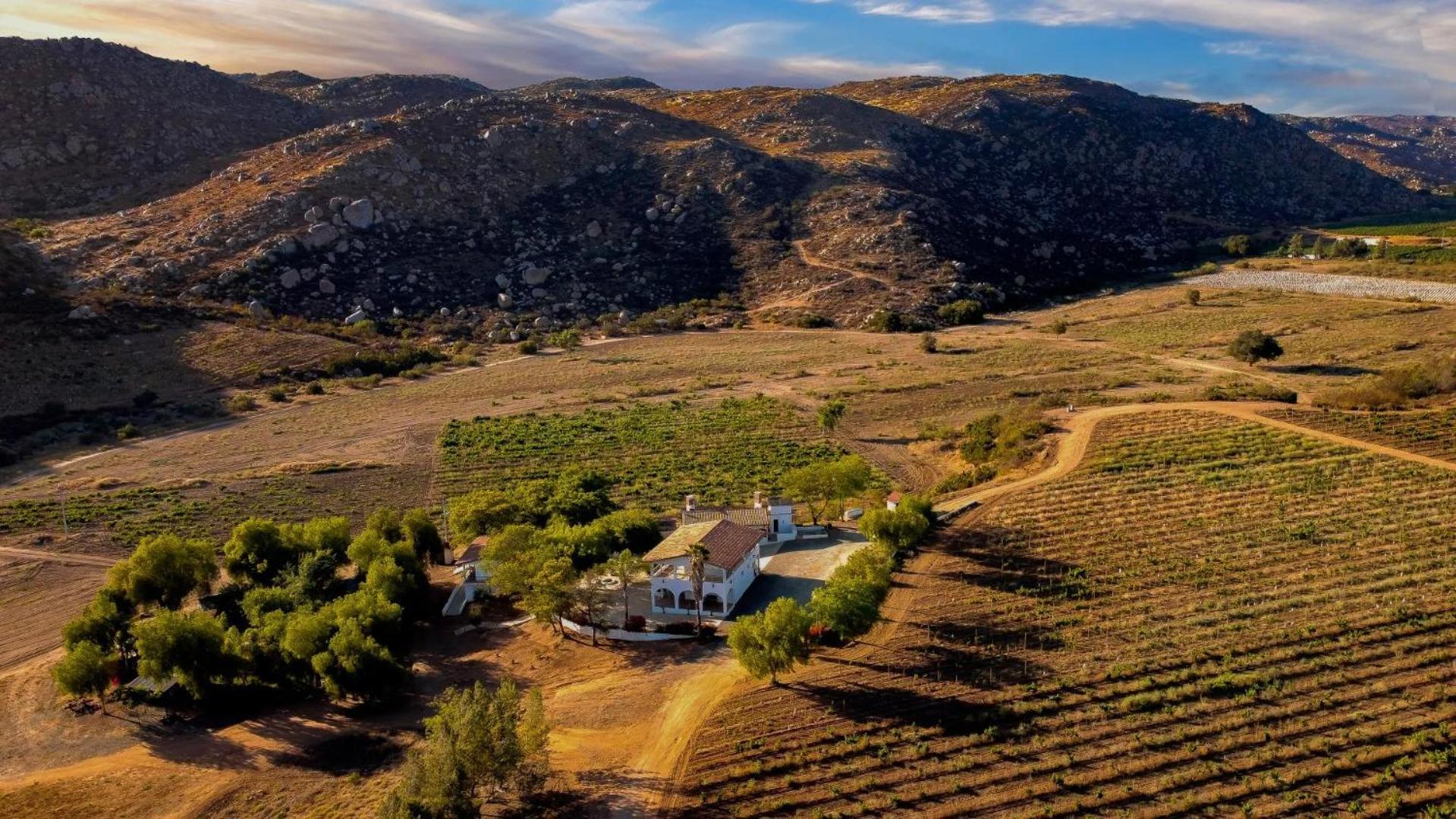 Casa Luna Vinedo Valle de Guadalupe Zewnętrze zdjęcie